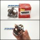 Thermostat Asli - Truck Nissan Euro 2 - PK260CT - CWA260