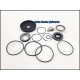 Kit Powersteering - Truck Nissan Euro - PKC311 - PK260CT - CWA260