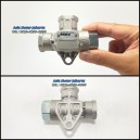 Double Check Valve - Truck Hino Lohan 500 Trailer